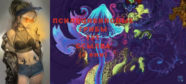тгк Пересвет