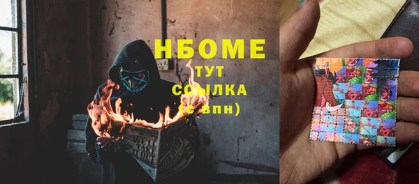 тгк Пересвет