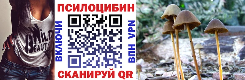Галлюциногенные грибы Cubensis  Тайга 